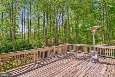 5030 Sunnyhills Drive, Sunderland, MD 20689 - Photo 33