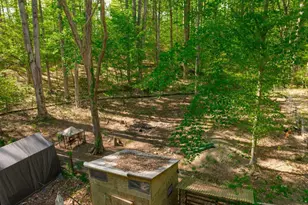 5030 Sunnyhills Dr, Sunderland, MD 20689 - Photo 13