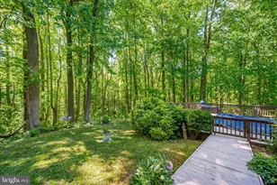 3741 Pinewood Ct, Chesapeake Beach, MD 20732 - Photo 63