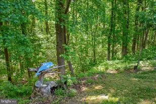 3741 Pinewood Ct, Chesapeake Beach, MD 20732 - Photo 55