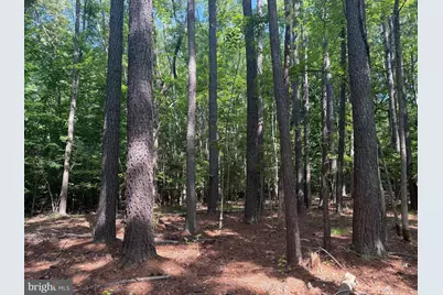 13435 Dowell Road, Solomons, MD 20688 - Photo 1