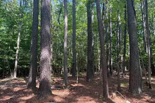 13435 Dowell Rd, Solomons, MD 20688 - Photo 1