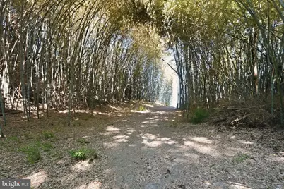 4010 Beach Drive, Chesapeake Beach, MD 20732 - Photo 29
