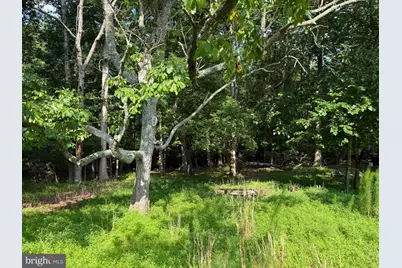 12516 Olivet Road, Lusby, MD 20657 - Photo 31