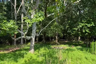 12516 Olivet Rd, Lusby, MD 20657 - Photo 31