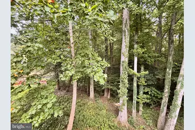440 Tubman Drive, Prince Frederick, MD 20678 - Photo 17