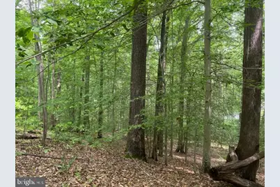 7575 Mason Springs Road, La Plata, MD 20646 - Photo 7