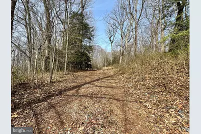 10226 Springhill Newtown Road, La Plata, MD 20646 - Photo 19