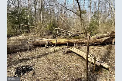 10226 Springhill Newtown Road, La Plata, MD 20646 - Photo 29