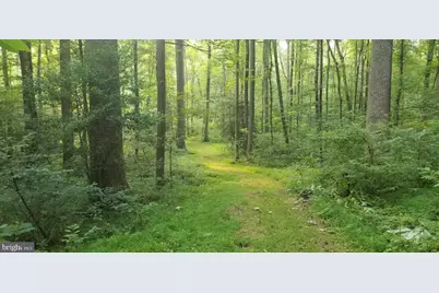 10226 Springhill Newtown Road, La Plata, MD 20646 - Photo 35