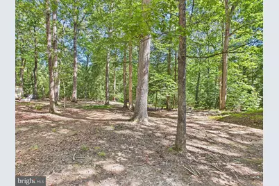 11330 Holly Springs Road, Nanjemoy, MD 20662 - Photo 37