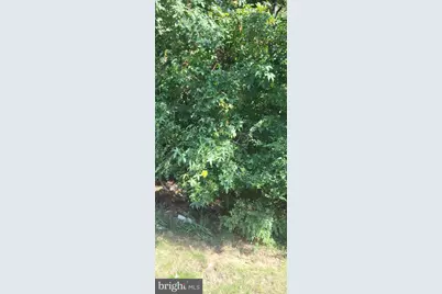 11265 Keokee Court, Issue, MD 20645 - Photo 5