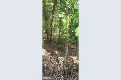 11265 Keokee Court, Issue, MD 20645 - Photo 7