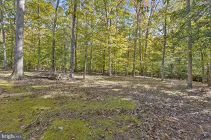 8875 Locust Grove Dr, Port Tobacco, MD 20677 - Photo 47