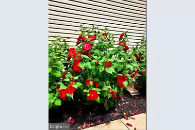 4000 Hanson Road, White Plains, MD 20695 - Photo 11