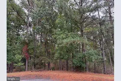 14975 Persimmon Court, Issue, MD 20645 - Photo 3