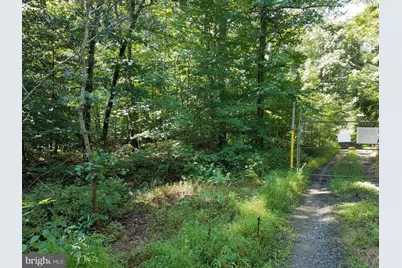 7285 Billingsley Road, Bryans Road, MD 20616 - Photo 5