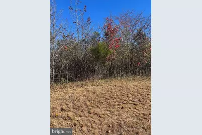 7430 Chicamuxen Road, Indian Head, MD 20640 - Photo 1