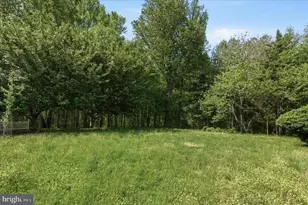 19 Walnut Hill Rd, La Plata, MD 20646 - Photo 53