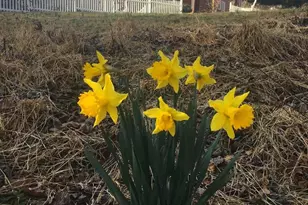 19 Walnut Hill Rd, La Plata, MD 20646 - Photo 1