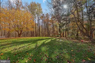 19 Walnut Hill Rd, La Plata, MD 20646 - Photo 37