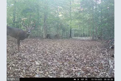 2555 Hancock Run Road, Nanjemoy, MD 20662 - Photo 5