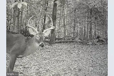 2555 Hancock Run Road, Nanjemoy, MD 20662 - Photo 23