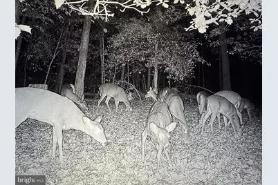 2555 Hancock Run Road, Nanjemoy, MD 20662 - Photo 13