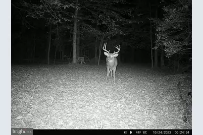 2555 Hancock Run Road, Nanjemoy, MD 20662 - Photo 11