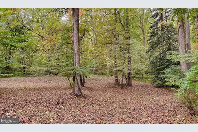 513 Clarks Run Road, La Plata, MD 20646 - Photo 39