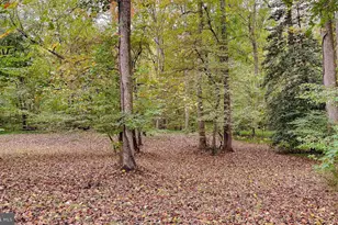 513 Clarks Run Rd, La Plata, MD 20646 - Photo 39