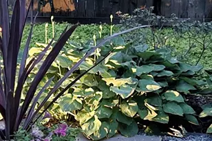 1914 Black Oak Ct, Waldorf, MD 20601 - Photo 75