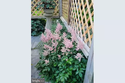 1914 Black Oak Court, Waldorf, MD 20601 - Photo 69