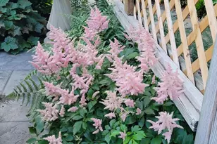 1914 Black Oak Ct, Waldorf, MD 20601 - Photo 69