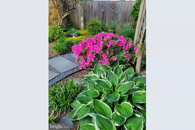 1914 Black Oak Court, Waldorf, MD 20601 - Photo 71