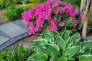 1914 Black Oak Ct, Waldorf, MD 20601 - Photo 71