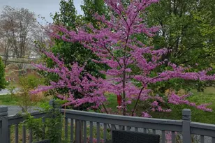 2805 Stavors Rd, Waldorf, MD 20603 - Photo 35