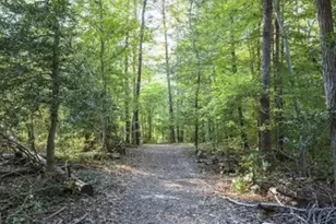 10939 Drummond Pl, White Plains, MD 20695 - Photo 47
