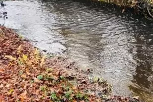 11527 Timberbrook Dr, Waldorf, MD 20601 - Photo 39