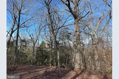 5500 Winston Vines Place, Indian Head, MD 20640 - Photo 43