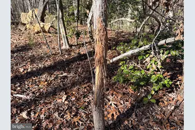 5500 Winston Vines Place, Indian Head, MD 20640 - Photo 31