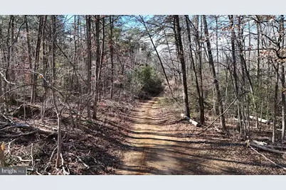 5500 Winston Vines Place, Indian Head, MD 20640 - Photo 15
