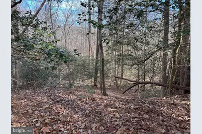 5500 Winston Vines Place, Indian Head, MD 20640 - Photo 35
