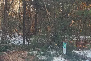 Shiloh Church Rd, Newburg, MD 20664 - Photo 1