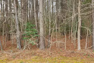 Marie Rd, Newburg, MD 20664 - Photo 1