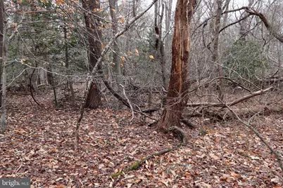 Lots 2-6 and 11-16 Penguin Place, Bryans Road, MD 20616 - Photo 13