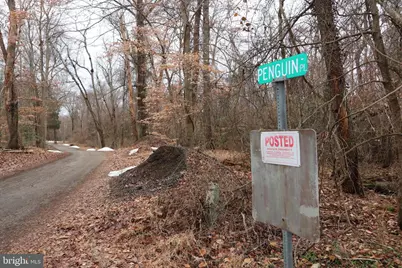 Lots 2-6 and 11-16 Penguin Place, Bryans Road, MD 20616 - Photo 1