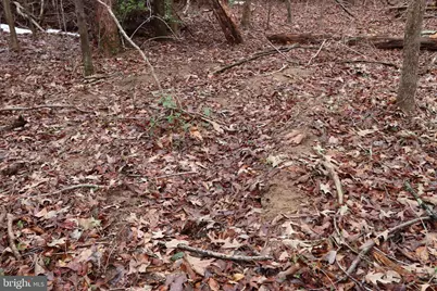 Lots 2-6 and 11-16 Penguin Place, Bryans Road, MD 20616 - Photo 5