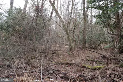 Lots 2-6 and 11-16 Penguin Place, Bryans Road, MD 20616 - Photo 3