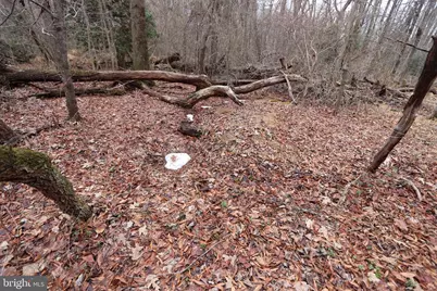 Lots 2-6 and 11-16 Penguin Place, Bryans Road, MD 20616 - Photo 17